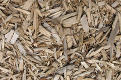biomass boilers Little Reedness